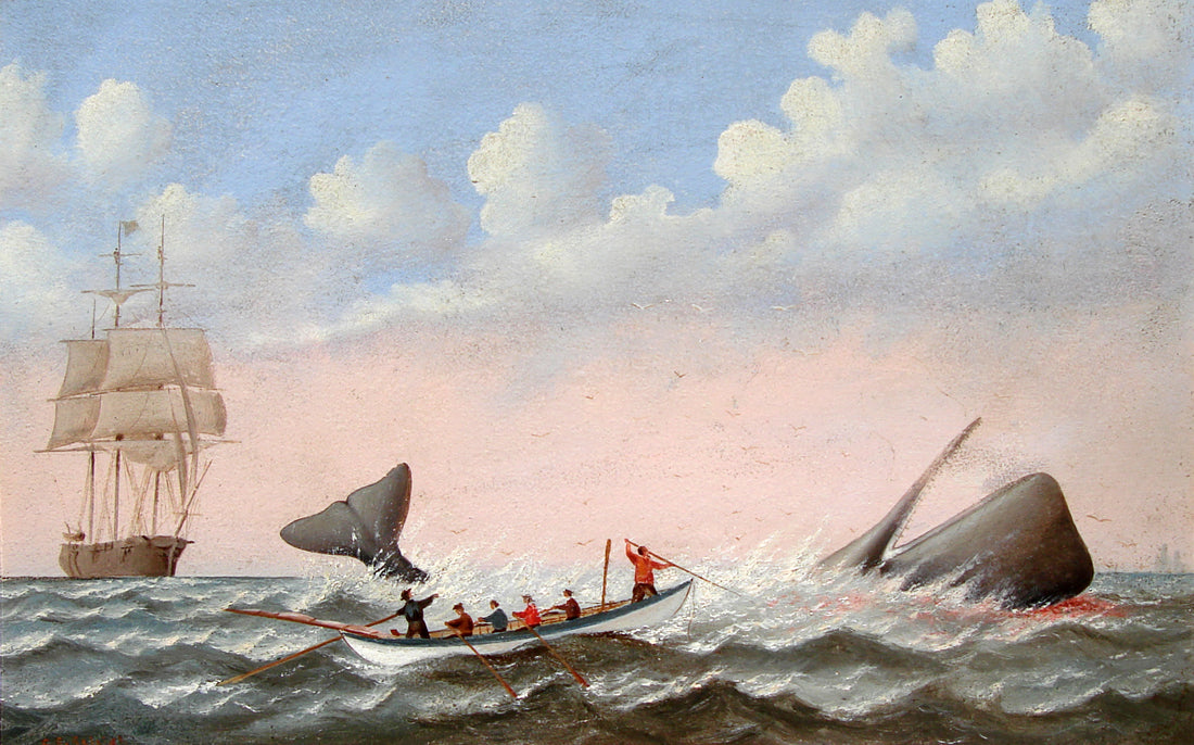 Whaling