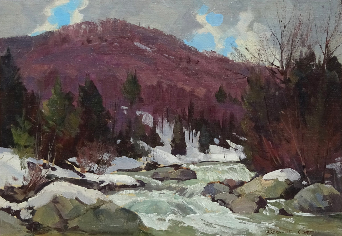 Rushing Winter Waters