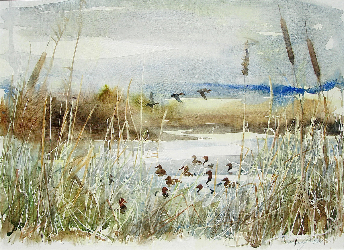 Ducks in the Marsh