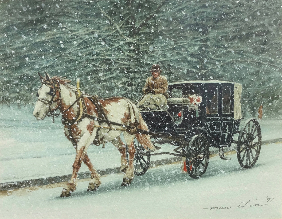 Carriage Ride, Central Park, NYC