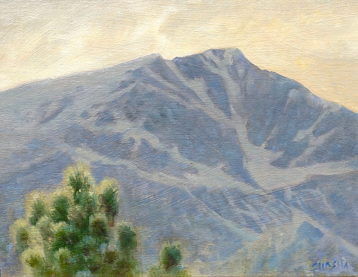 Snow on the Timberline