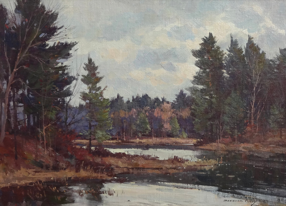 Pines and River
