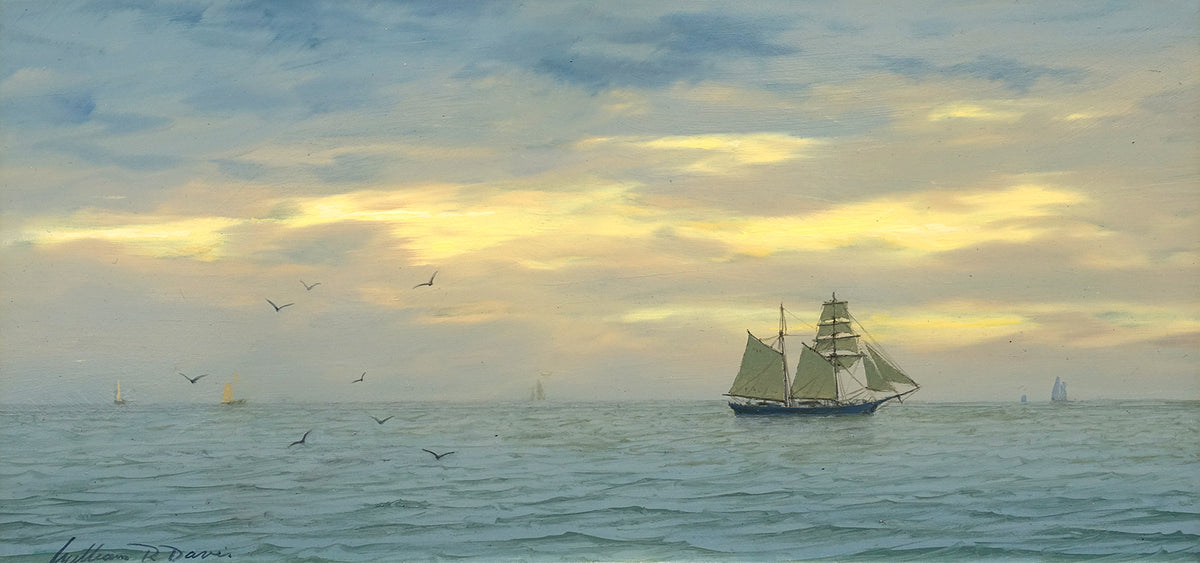 Topsail Schooner with Seabirds