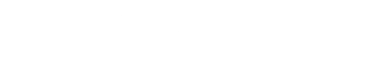 Transparent Logo