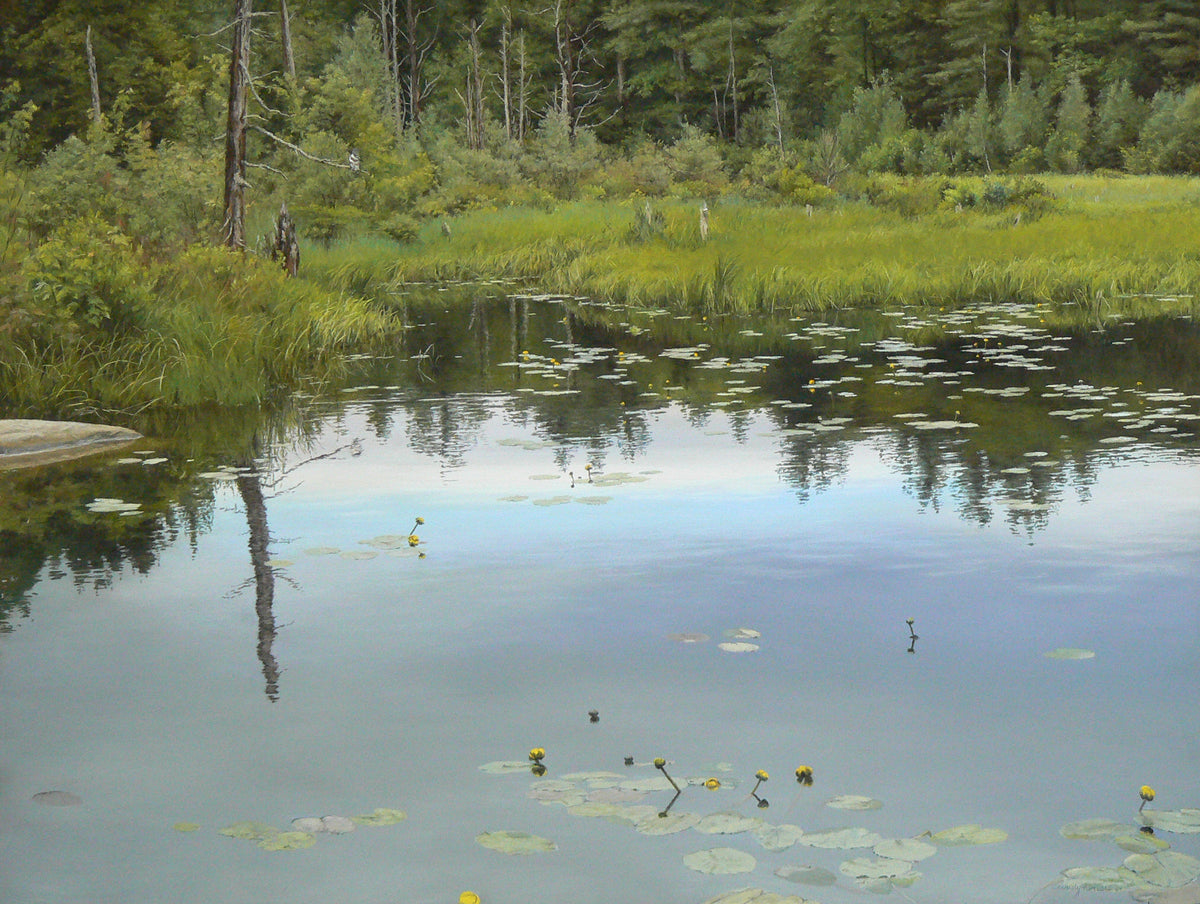 Beaver Pond