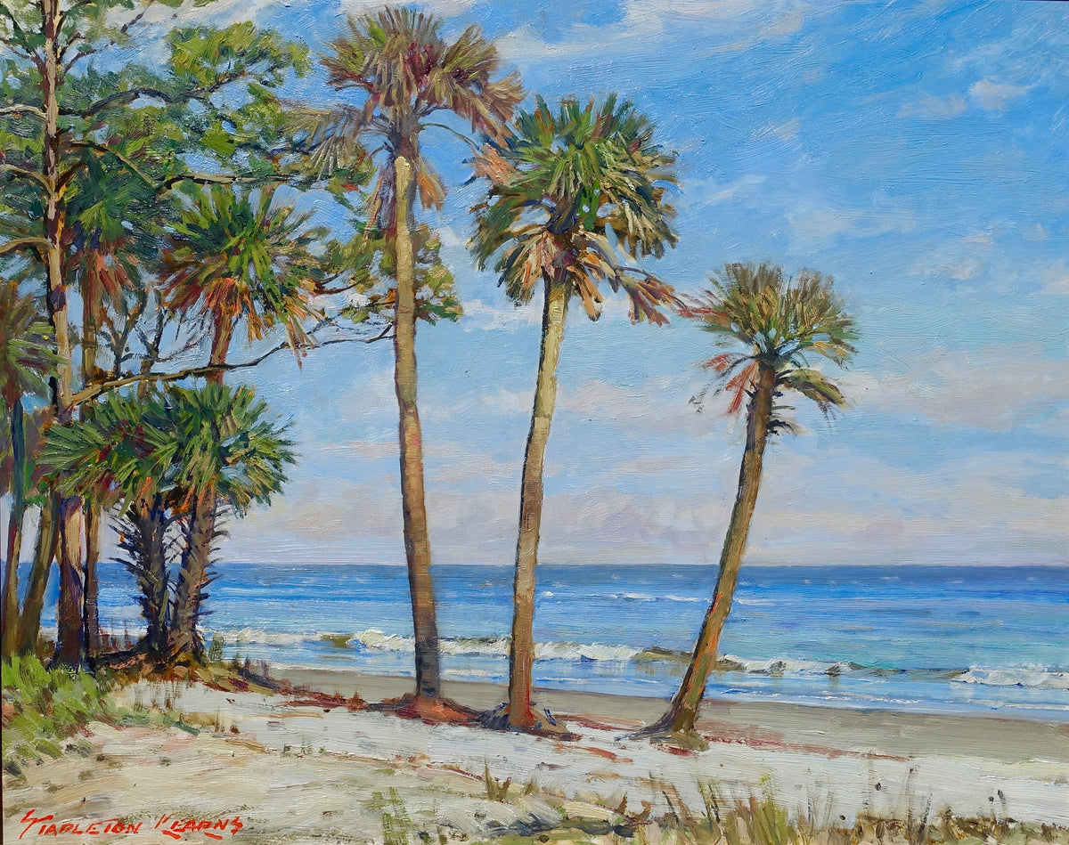 Beach Palmettos, Charleston, South Carolina