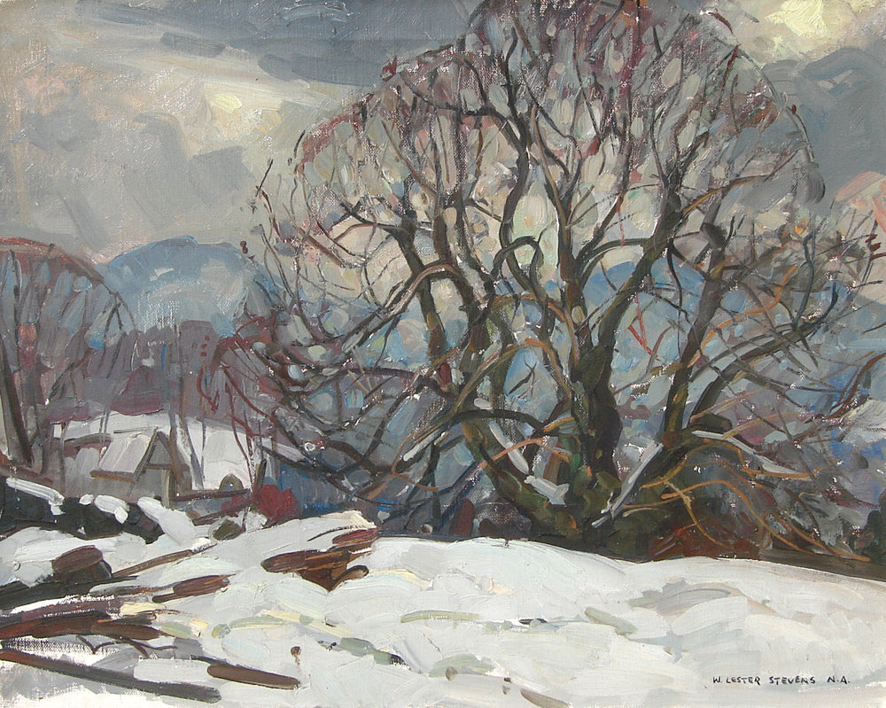 Winter in New England